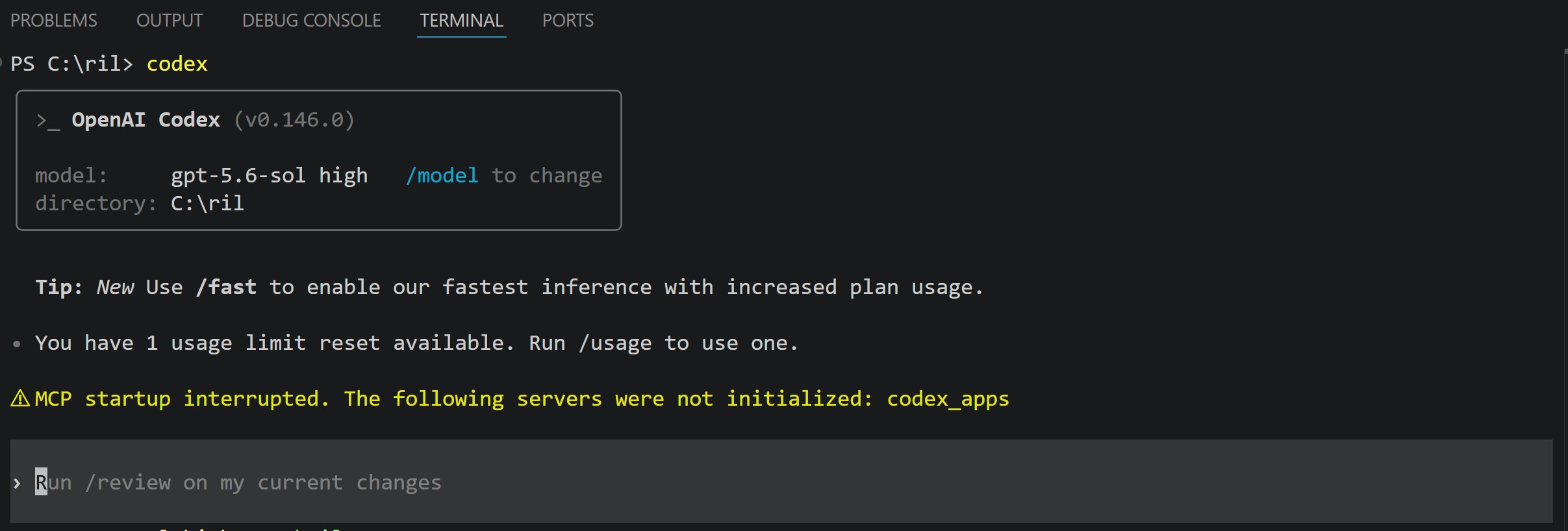 OpenAI Codex running inside the Visual Studio Code terminal, ready to review the current project.